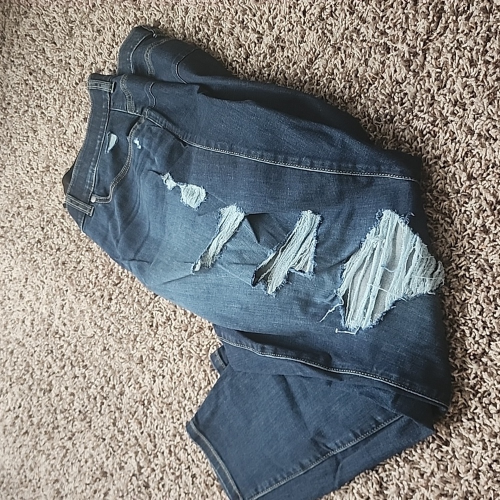 Torrid 24w short